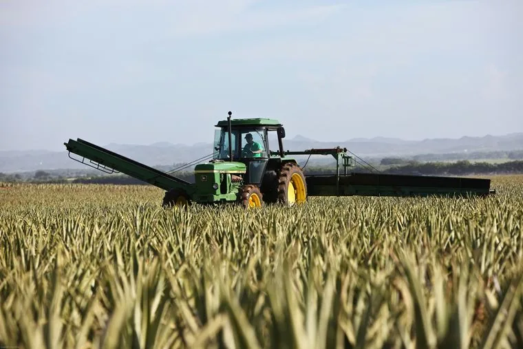 Cosecha con John Deere
